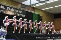 20110123_Pfalzmeisterschaft_CC_049